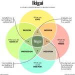 ikigai - career plan