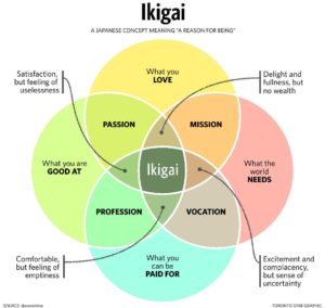 ikigai - career plan